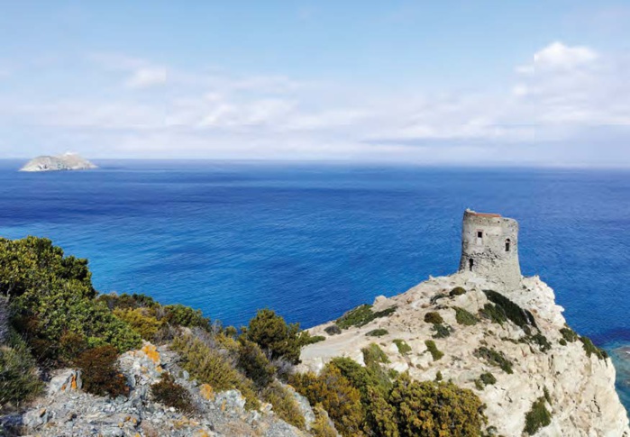 J. Leboeuf-Colombani J. Leboeuf-Colombani