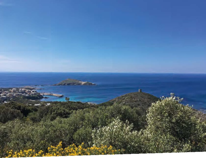 Collectivité de Corse (D. Lucchesi) Collectivité de Corse (D. Lucchesi)