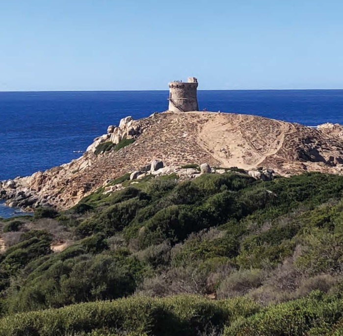 iStockphoto iStockphoto