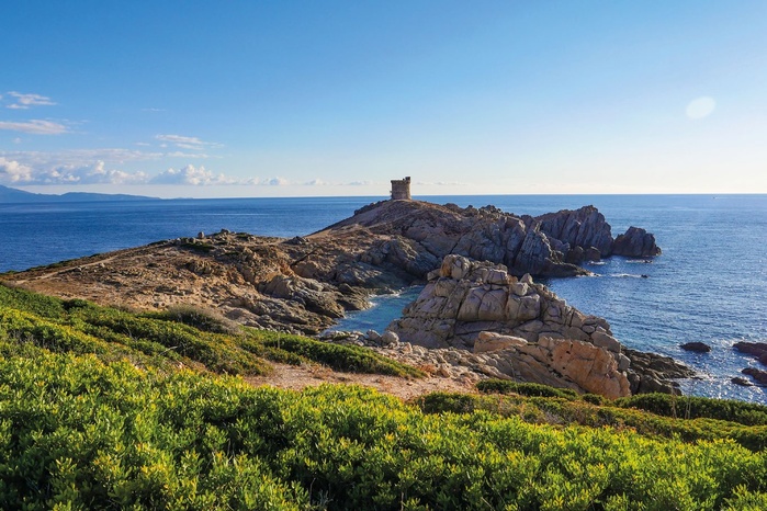 iStockphoto iStockphoto