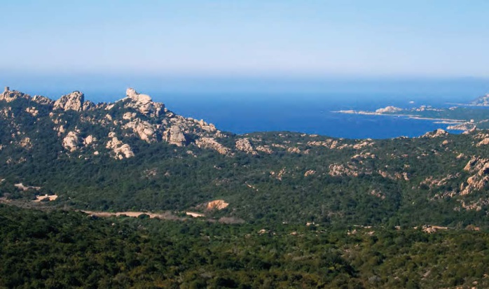 IStockphoto IStockphoto