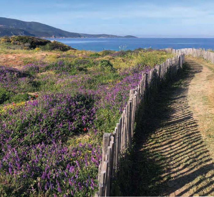 Collectivité de Corse (L. Di Rosa) Collectivité de Corse (L. Di Rosa)