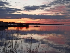 Journée mondiale des zones humides 2024 : A Cullettività di Corsica sempre impignata in u ristoru di l’ambienti umidi Journée mondiale des zones humides 2024 : A Cullettività di Corsica sempre impignata in u ristoru di l’ambienti umidi