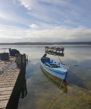 Journée mondiale des zones humides 2024 : A Cullettività di Corsica sempre impignata in u ristoru di l’ambienti umidi Journée mondiale des zones humides 2024 : A Cullettività di Corsica sempre impignata in u ristoru di l’ambienti umidi