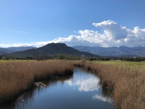 Journée mondiale des zones humides 2024 : A Cullettività di Corsica sempre impignata in u ristoru di l’ambienti umidi