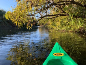 A Festa di a Natura 2024 cù a Cullettività di Corsica A Festa di a Natura 2024 cù a Cullettività di Corsica