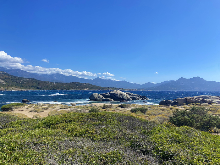 Collectivité de Corse (F-X. Montecattini) Collectivité de Corse (F-X. Montecattini)