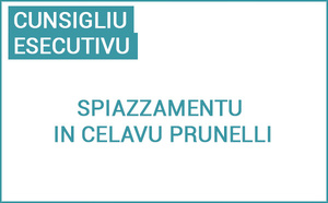 Spiazzamentu di u Cunsigliu esecutivu di Corsica in Celavu Prunelli, u 17 di ghjugnu di u 2025 Spiazzamentu di u Cunsigliu esecutivu di Corsica in Celavu Prunelli, u 17 di ghjugnu di u 2025