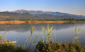 Journée mondiale des zones humides 2026 : A Cullettività di Corsica sempre impignata in a prutezzione di l’ambienti umidi Journée mondiale des zones humides 2026 : A Cullettività di Corsica sempre impignata in a prutezzione di l’ambienti umidi
