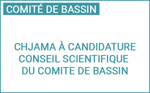 Chjama à candidature : rejoignez le Conseil scientifique du Comité de bassin de Corse Chjama à candidature : rejoignez le Conseil scientifique du Comité de bassin de Corse