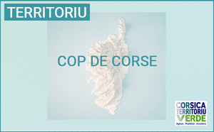 Reunione anninca di a COP di Corsica, u 2 di lugliu in Bastia