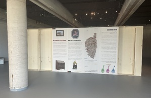 Mostra : "Sguardi novi" à u Museu di a Corsica