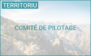 Comité de pilotage « Stratégie de sobriété foncière (ZAN) » et Conseil de l'aménagement et de l'urbanisme de la Corse Comité de pilotage « Stratégie de sobriété foncière (ZAN) » et Conseil de l'aménagement et de l'urbanisme de la Corse