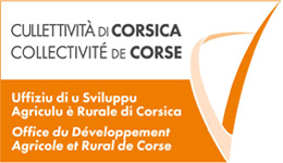 Agenzi è Uffizii di a Cullittività di Corsica Agenzi è Uffizii di a Cullittività di Corsica