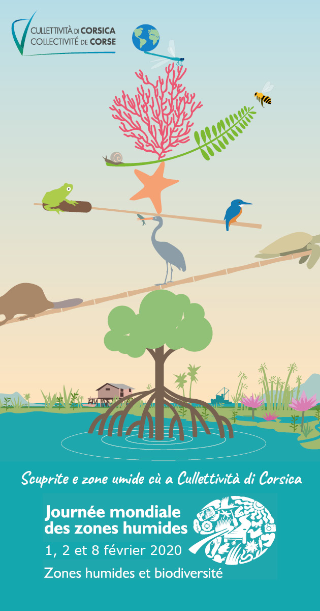Zone umide - Journées mondiales des zones humides 2020  Zone umide - Journées mondiales des zones humides 2020
