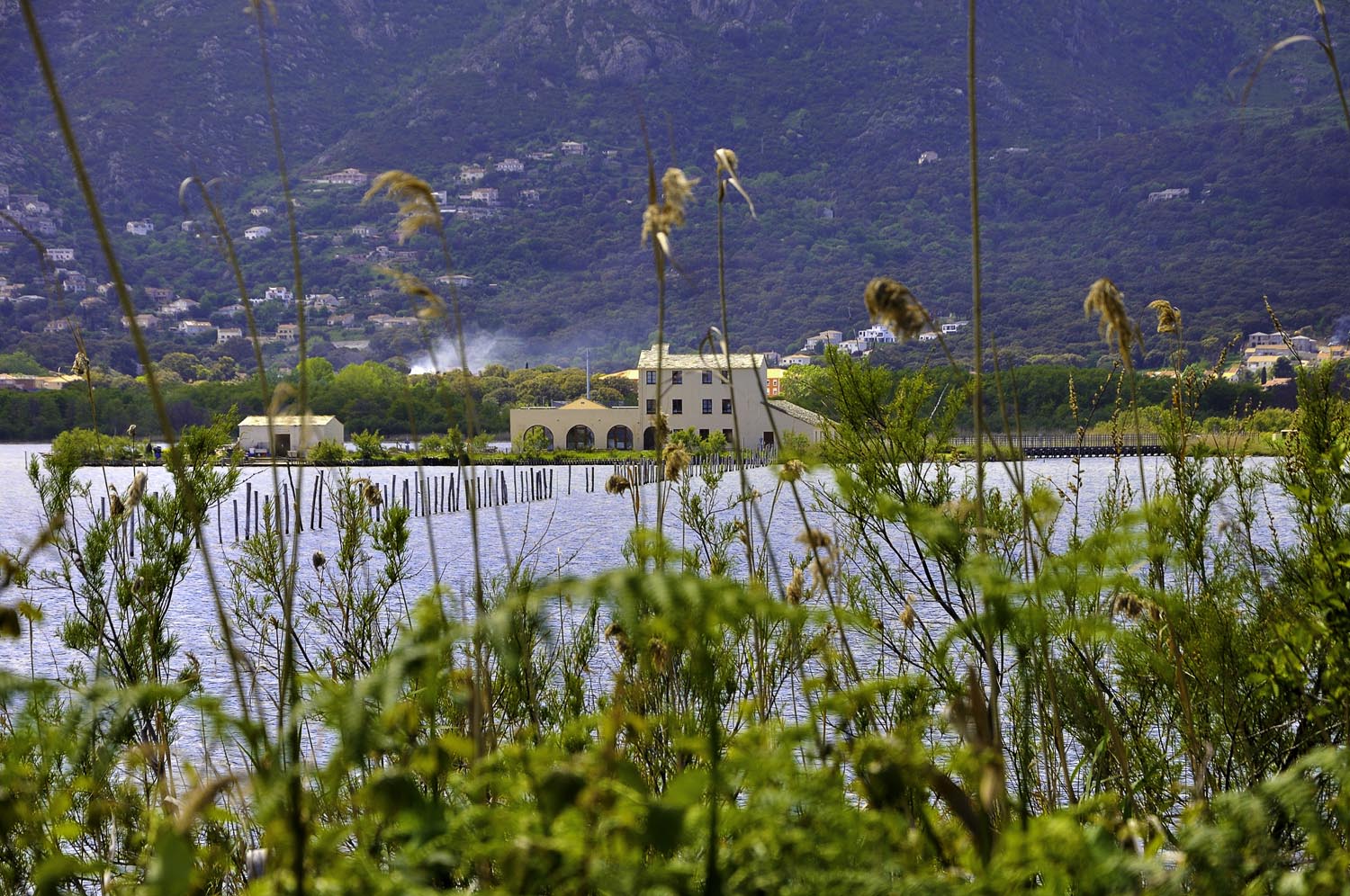 ​Réouverture de l’écomusée du Fortin et découverte de la réserve naturelle de l’étang de Biguglia