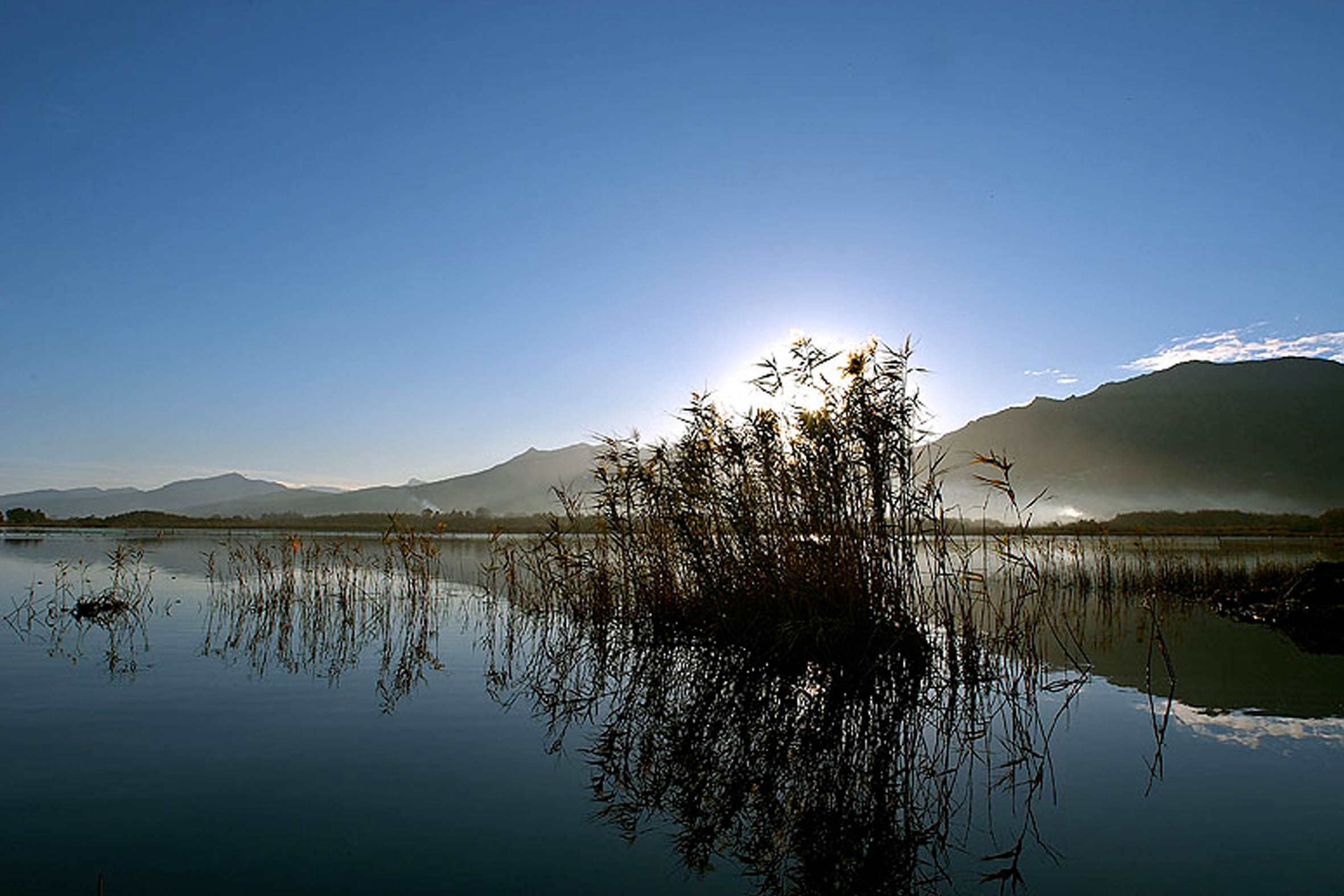Festa di a natura 2020 à a riserva naturale di u stagnu di Chjurlinu in Biguglia 