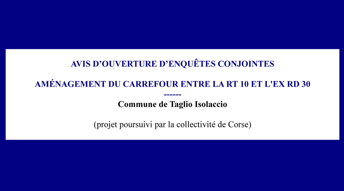 Avis d'ouverture d'enquêtes conjointes
