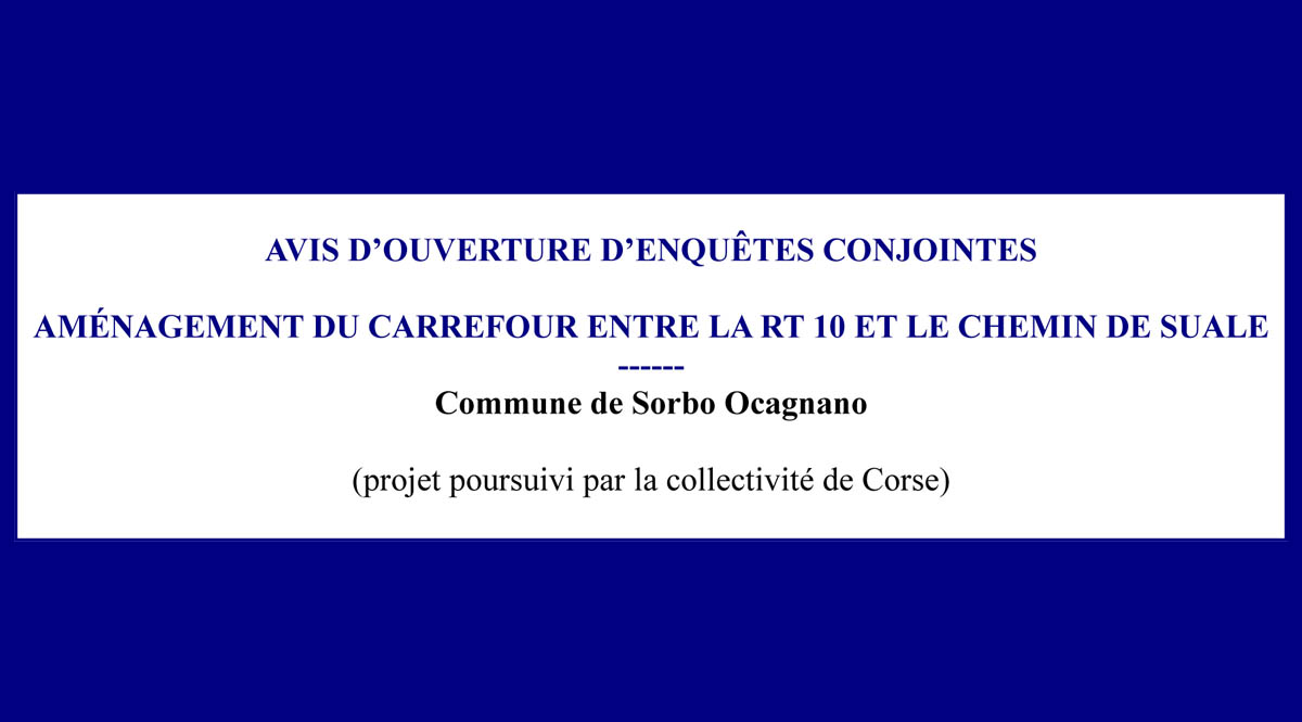 Avis d'ouverture d'enquêtes conjointes