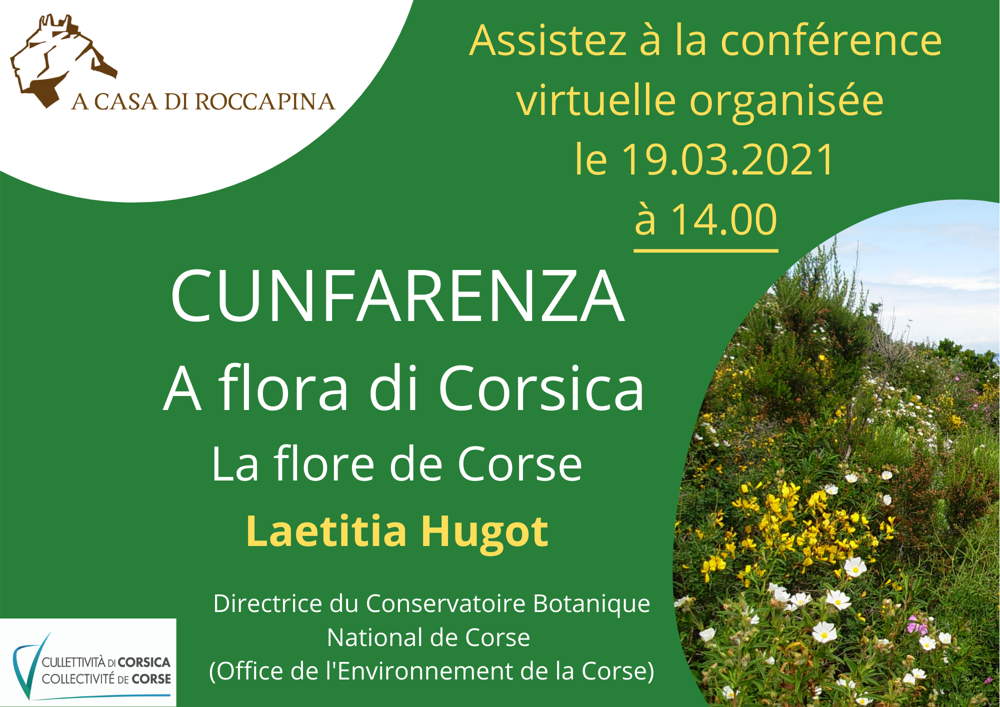 Cunfarenza : A flora di Corsica