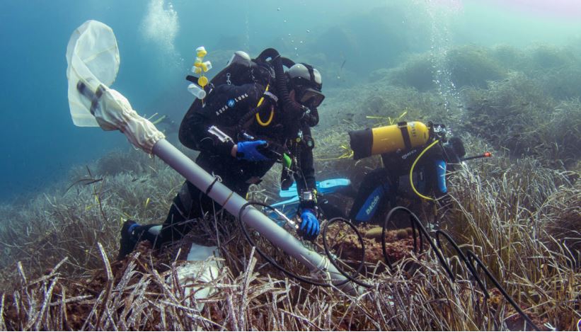 La Planète Revisitée en Corse : une grande expédition au service de la biodiversité