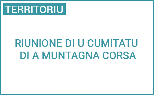 Riunione di u Cumitatu di a Muntagna corsa - Réunion du Comité de Massif de Corse