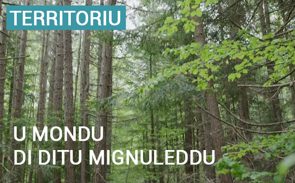 Inauguration officielle du sentier thématique "U Mondu di Ditu Mignuleddu", la forêt enchantée, et Cérémonie de renouvellement et d’extension du label "Rivières Sauvages" pour le Taravu