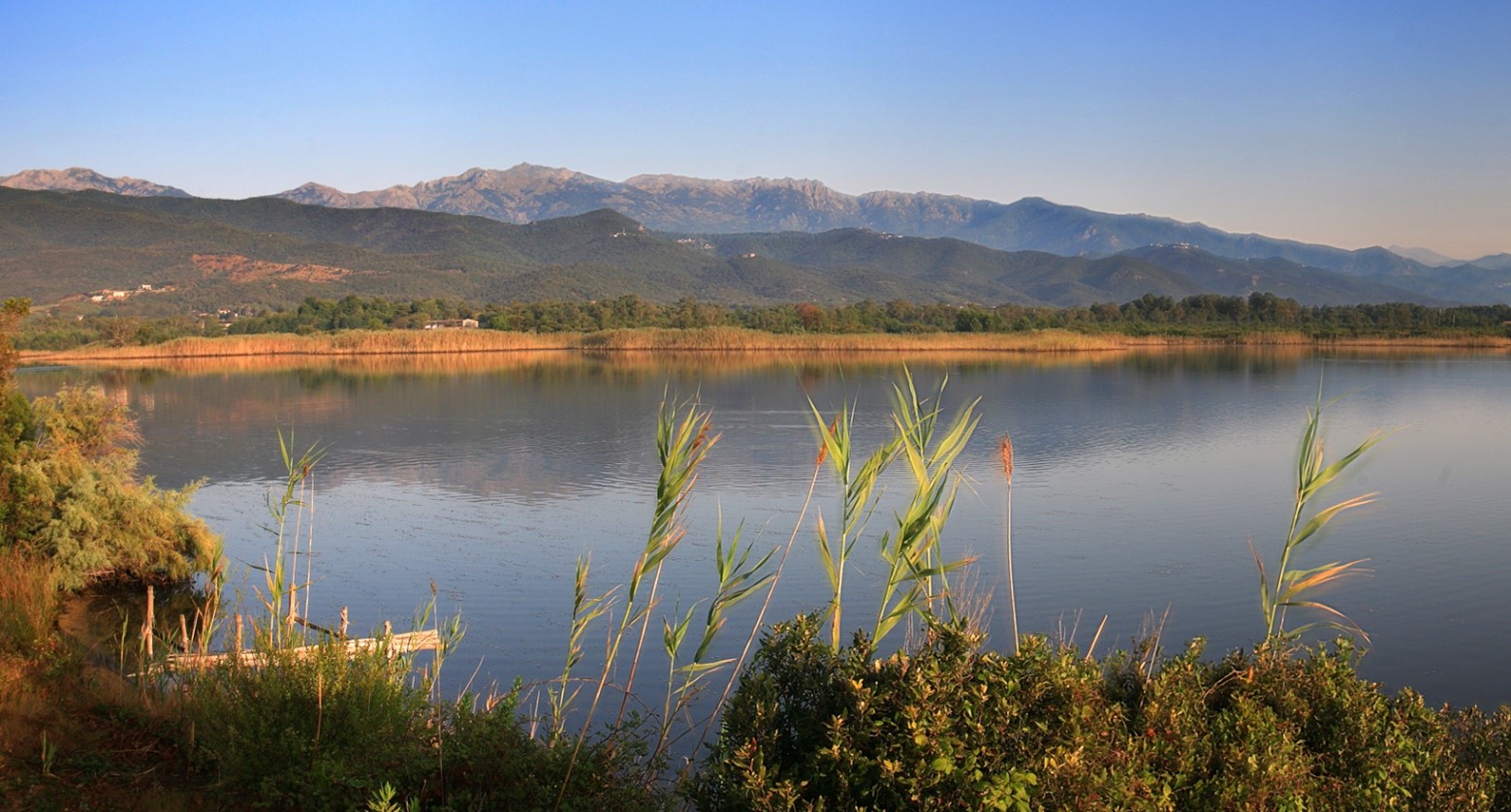 Journée mondiale des zones humides 2023 : A Cullettività di Corsica sempre impignata in u ristoru di l’ambienti umidi