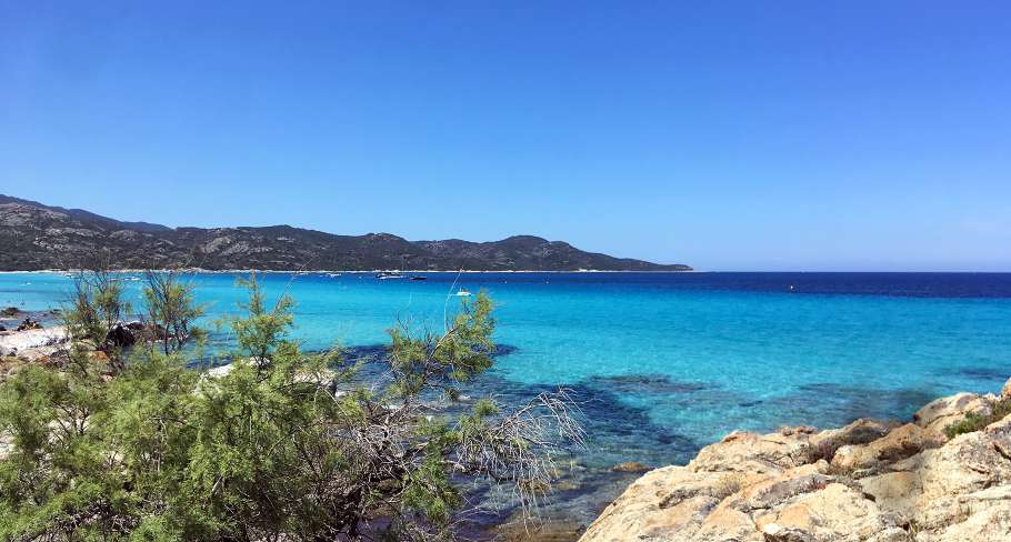 Collectivité de Corse (D. Lucchesi)
