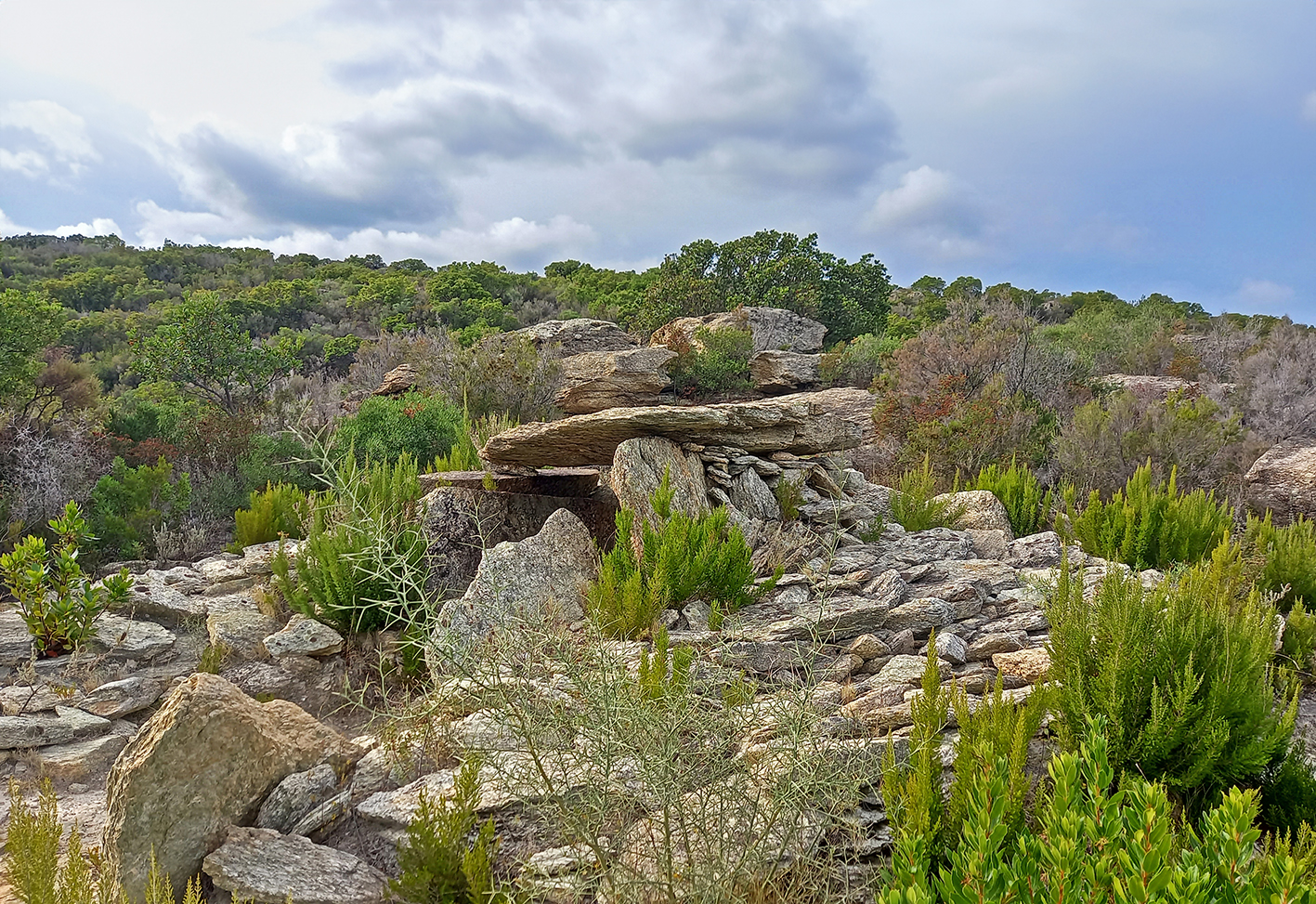 Collectivité de Corse (M. Piana)