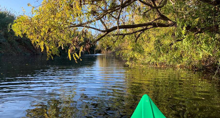 Collectivité de Corse (O. Brunel) Collectivité de Corse (O. Brunel)
