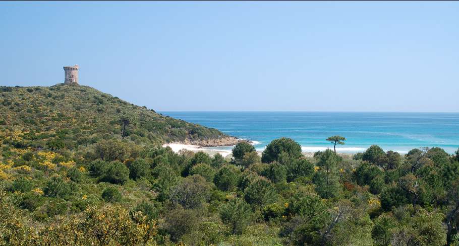 Conservatoire du Littoral / M. Willmes