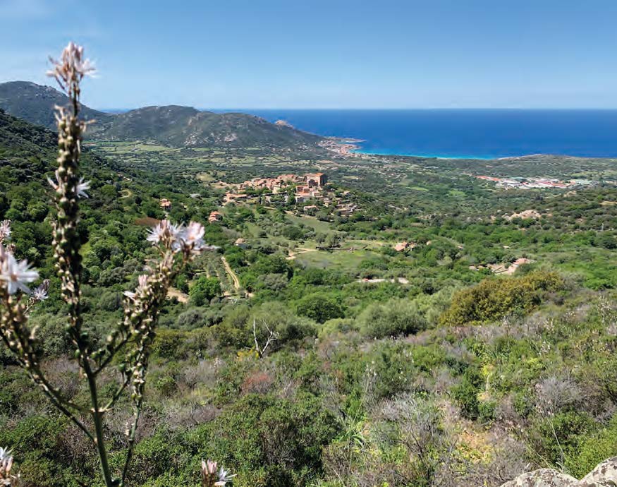 U chjassu da Pigna à Sant’Antuninu