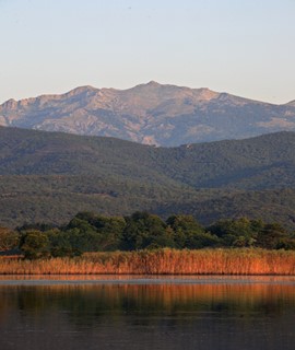 Journée mondiale des zones humides 2024 : A Cullettività di Corsica sempre impignata in u ristoru di l’ambienti umidi