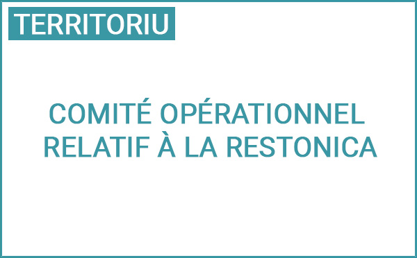 4a riunione di u Cumitatu di messa in opera rilativu à a Restonica : bilanciu di a statina 2024 è pruspettiva pè u 2025  4a riunione di u Cumitatu di messa in opera rilativu à a Restonica : bilanciu di a statina 2024 è pruspettiva pè u 2025