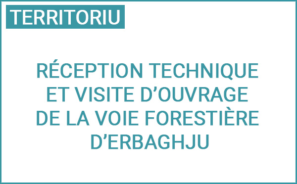 Recezzione tecnica è visita d’opera di a via furistiera d’Erbaghju 