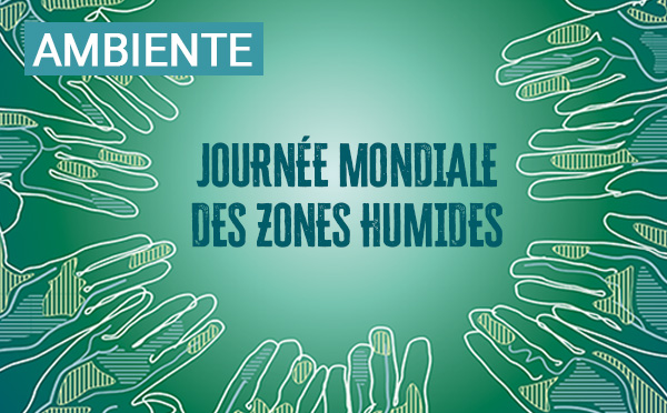 Journée mondiale des zones humides 2026 : A Cullettività di Corsica sempre impignata in a prutezzione di l’ambienti umidi 