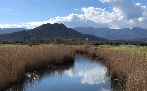 Journée mondiale des zones humides 2026 : A Cullettività di Corsica sempre impignata in a prutezzione di l’ambienti umidi 