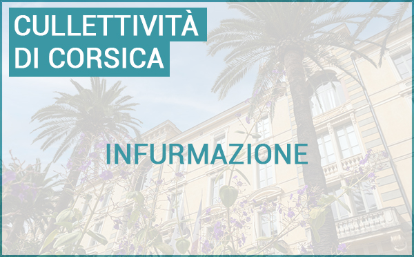 Misure di a parità prufeziunale trà donne è omi à a Cullettività di Corsica - 2025