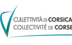 Avis d’appel à projet relatif à la création d'un dispositif expérimental d’hébergement  et d’accompagnement des mineurs non accompagnés (MNA) en mode d’accueil diversifié et en parrainage