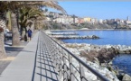 FOCUS sur : L'Aldilonda 