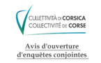 Avis d'ouverture d'enquêtes conjointes