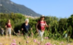 Appel à Projets en faveur de l’amélioration de la prise en charge médicale et sociale des populations des territoires de l’intérieur