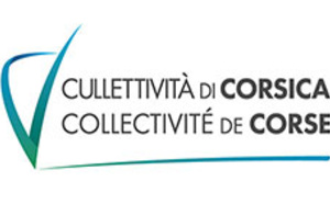 Election des représentants professionnels des assistants maternels et familiaux à la Commission consultative paritaire départementale de la Haute-Corse