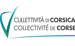 Avis d’appel à projet relatif à la création d'un dispositif expérimental d’hébergement  et d’accompagnement des mineurs non accompagnés (MNA) en mode d’accueil diversifié et en parrainage