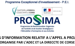 PROSSIMA - avis d'information relatif à l'appel à projets organisé par l'ADEC et la DIRECCTE de Corse