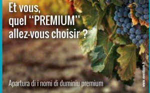 Ouverture sur internet des noms de domaine Premium en .corsica 