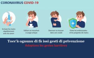 A Cullettività di Corsica mette in opara mezi adatti da fà fronte à u Coronavirus in Corsica