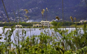 ​Réouverture de l’écomusée du Fortin et découverte de la réserve naturelle de l’étang de Biguglia