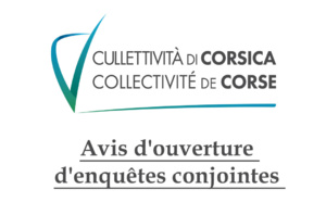 Avis d'ouverture d'enquêtes conjointes
